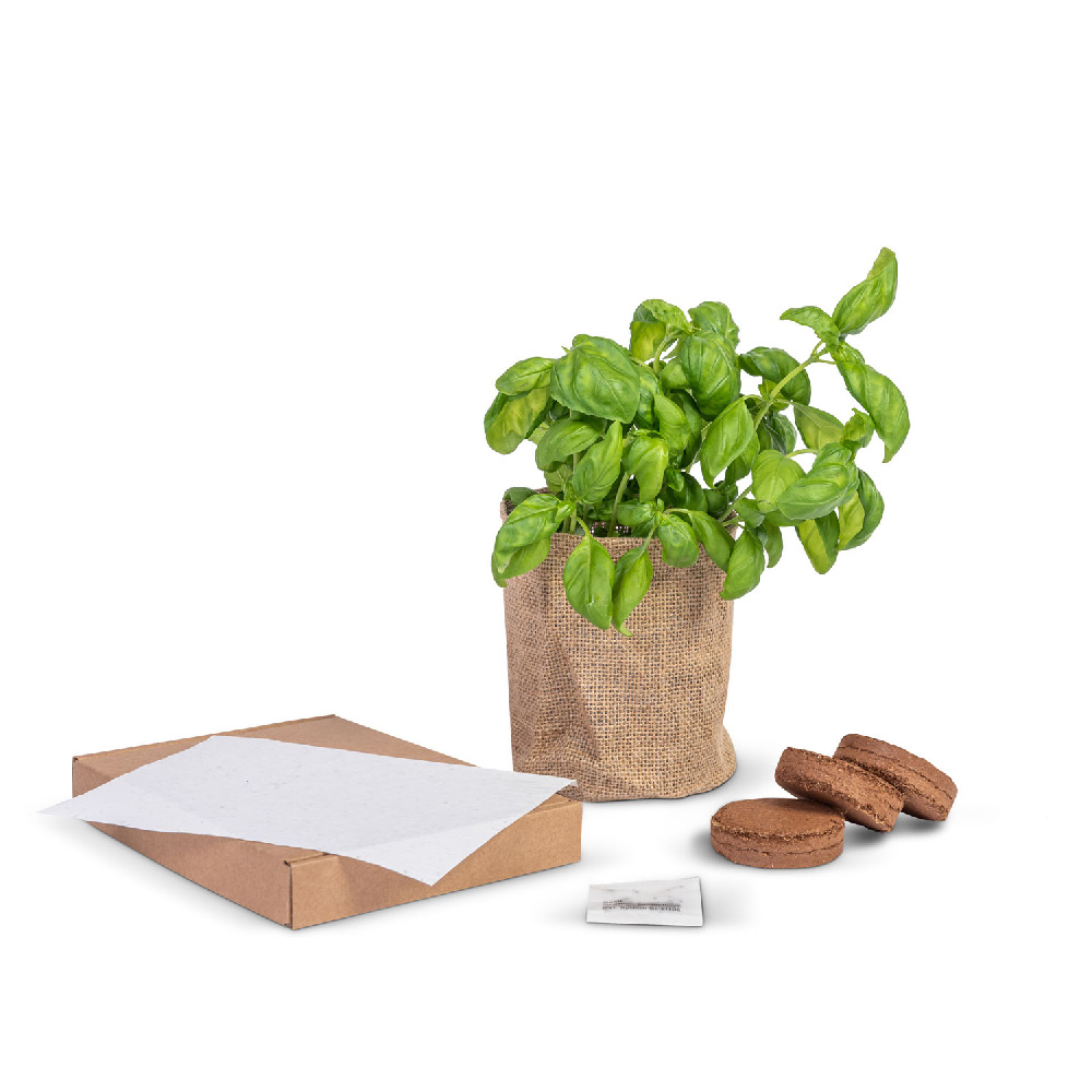 Brievenbus groeiset | Eco geschenk